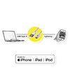 Cable USB2.0 AМ / Lightning, 1m, Roline 11.02.8923